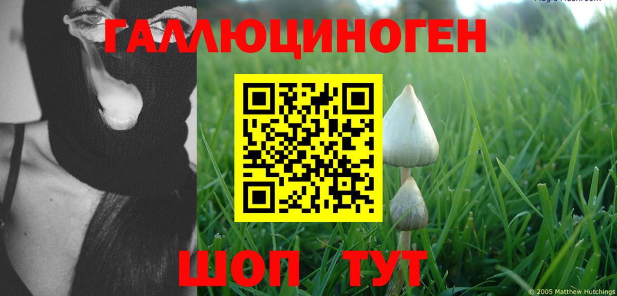 Псилоцибиновые грибы мицелий Тосно